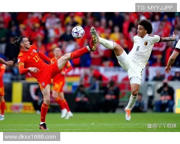 威尔士与比利时精彩对决集锦回顾赛场瞬间尽显足球魅力与激情