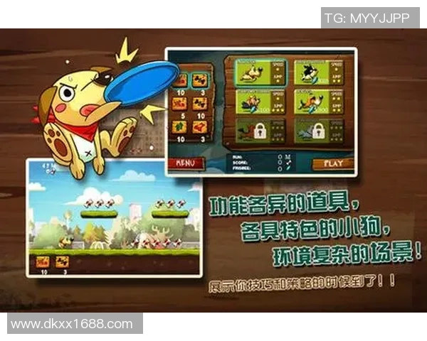 成都飞盘队运营策略深度分析与成功经验分享 成都飞盘队运营策略深度分析与成功经验分享