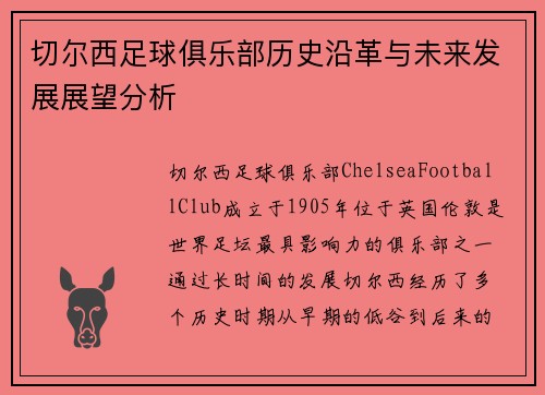切尔西足球俱乐部历史沿革与未来发展展望分析